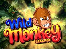 Wild Monkey jackpot gokkast